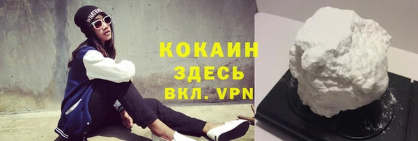 соль ск Гатчина