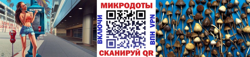 Псилоцибиновые грибы ЛСД  Белоозёрский 